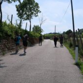  Sproing Pics (11/32)